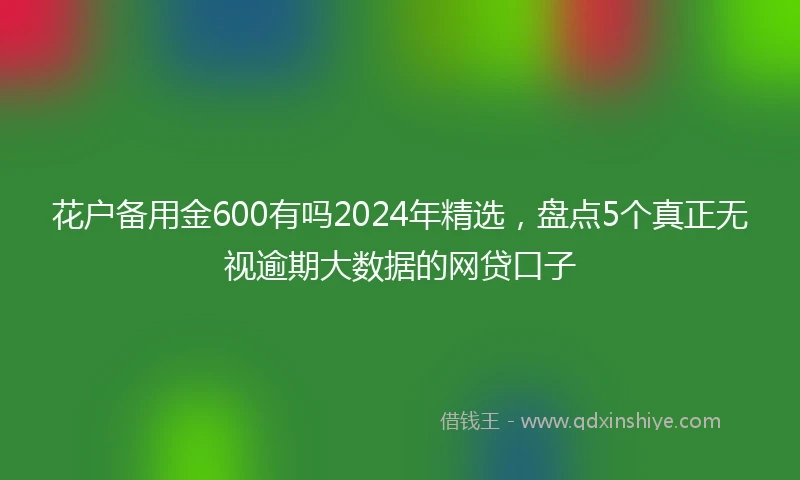 花户备用金600有吗2024年精选,盘点5个真正无视逾期大数据的网贷口子