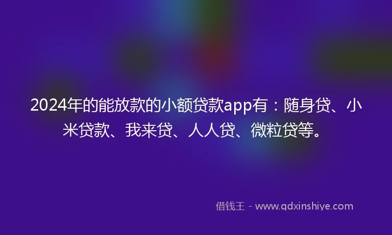 2024年的能放款的小额贷款app有：随身贷、小米贷款、我来贷、人人贷、微粒贷等。