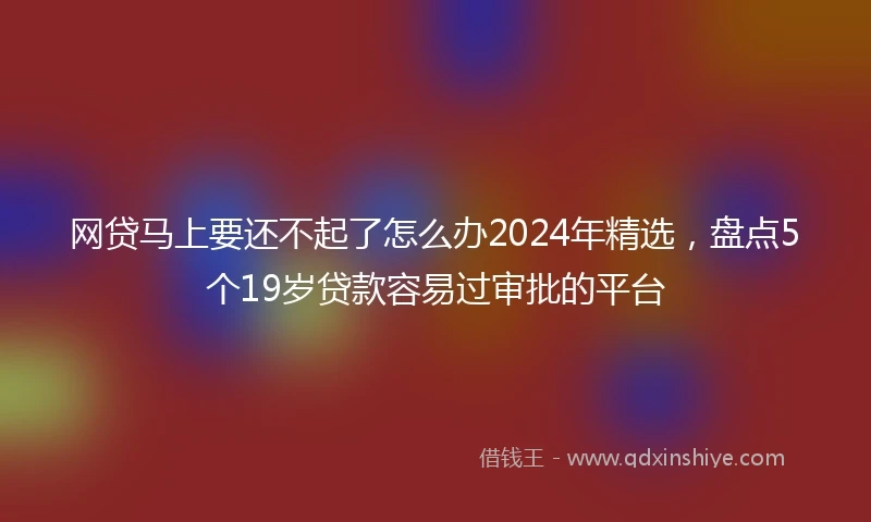 网贷马上要还不起了怎么办2024年精选，盘点5个19岁贷款容易过审批的平台