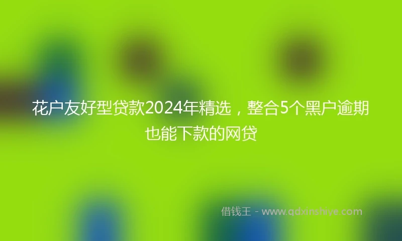 花户友好型贷款2024年精选，整合5个黑户逾期也能下款的网贷