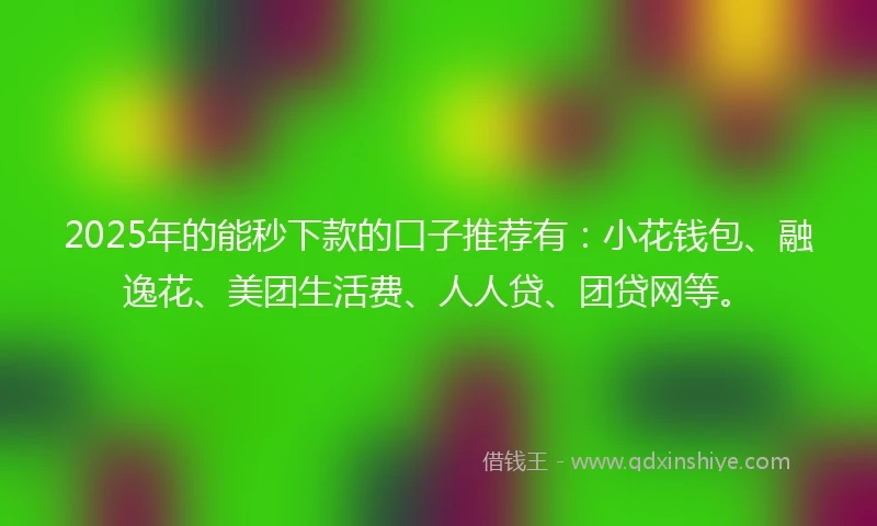 2025年的能秒下款的口子推荐有：小花钱包、融逸花、美团生活费、人人贷、团贷网等。