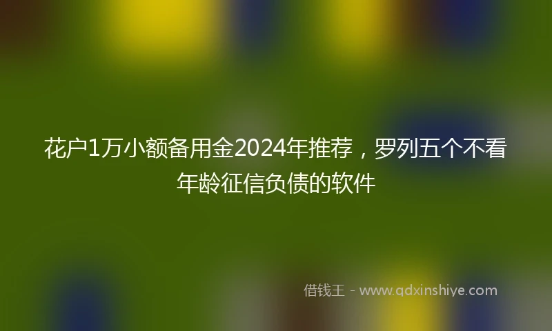 花户1万小额备用金2024年推荐，罗列五个不看年龄征信负债的软件