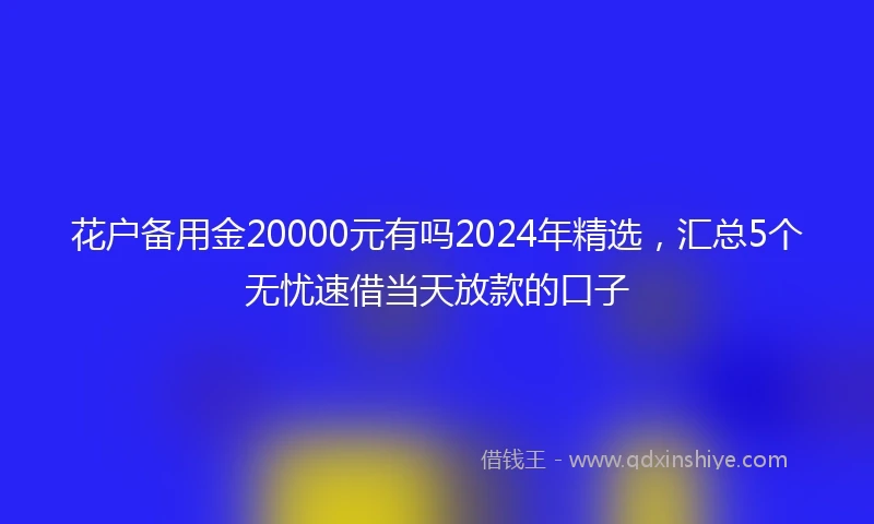 花户备用金20000元有吗2024年精选，汇总5个无忧速借当天放款的口子