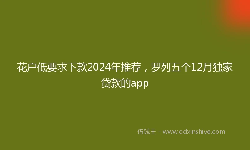 花户低要求下款2024年推荐，罗列五个12月独家贷款的app