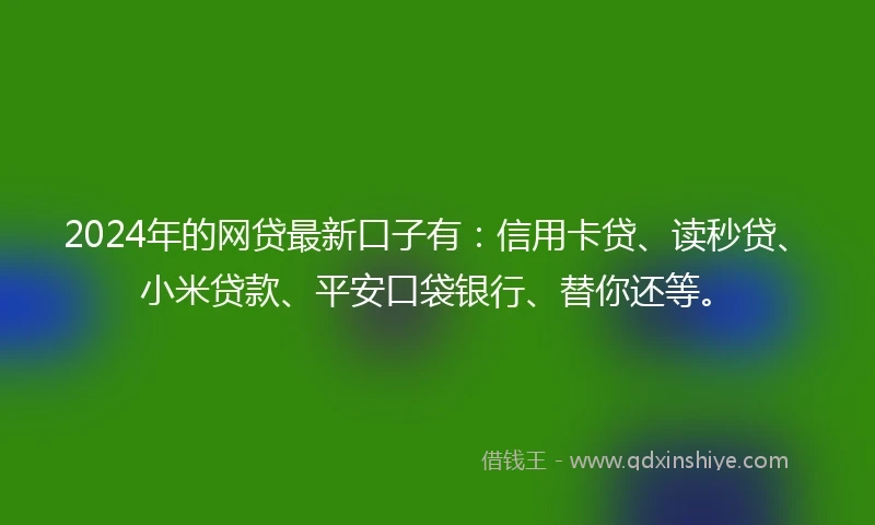 2024年的网贷最新口子有：信用卡贷、读秒贷、小米贷款、平安口袋银行、替你还等。
