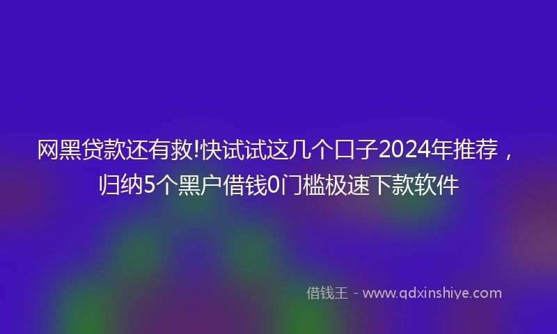 网黑贷款还有救!快试试这几个口子2024年推荐，归纳5个黑户借钱0门槛极速下款软件