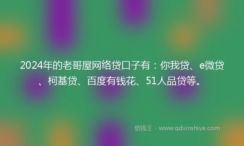 2024年的老哥屋网络贷口子有：你我贷、e微贷、柯基贷、百度有钱花、51人品贷等。
