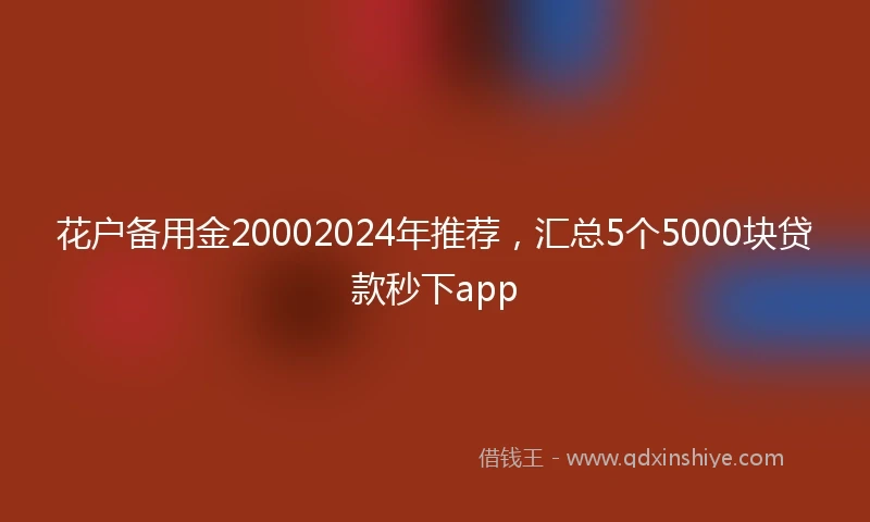 花户备用金20002024年推荐，汇总5个5000块贷款秒下app