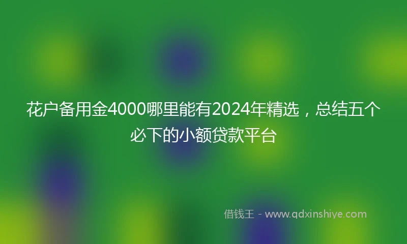 花户备用金4000哪里能有2024年精选，总结五个必下的小额贷款平台