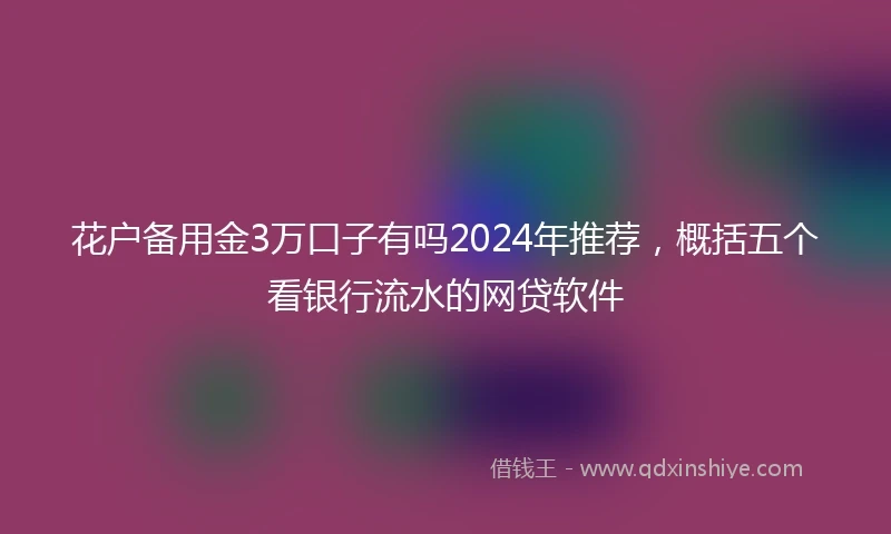 花户备用金3万口子有吗2024年推荐，概括五个看银行流水的网贷软件