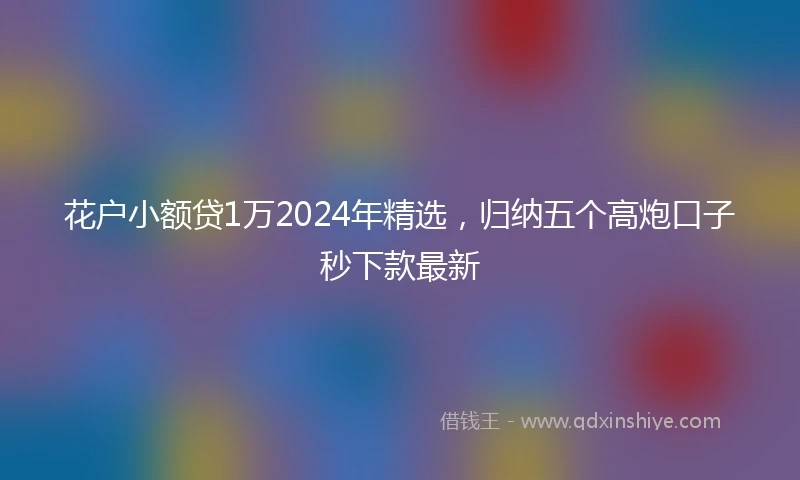 花户小额贷1万2024年精选，归纳五个高炮口子秒下款最新