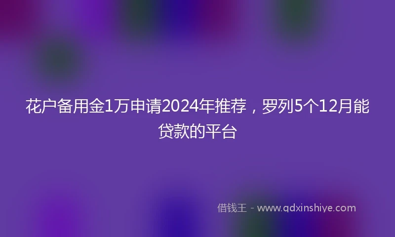 花户备用金1万申请2024年推荐，罗列5个12月能贷款的平台