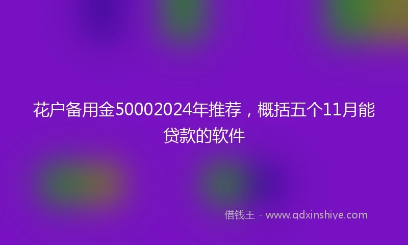 花户备用金50002024年推荐，概括五个11月能贷款的软件
