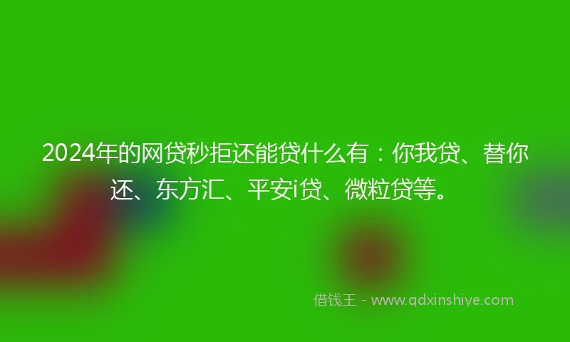 2024年的网贷秒拒还能贷什么有：你我贷、替你还、东方汇、平安i贷、微粒贷等。
