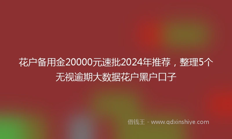 花户备用金20000元速批2024年推荐，整理5个无视逾期大数据花户黑户口子