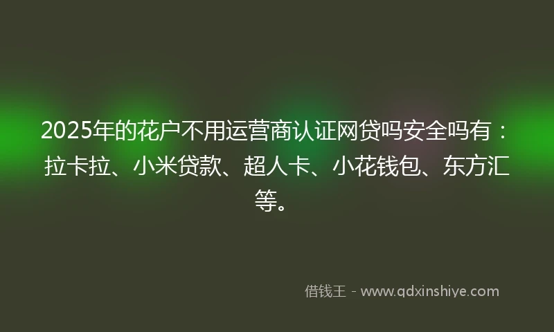 2025年的花户不用运营商认证网贷吗安全吗有：拉卡拉、小米贷款、超人卡、小花钱包、东方汇等。