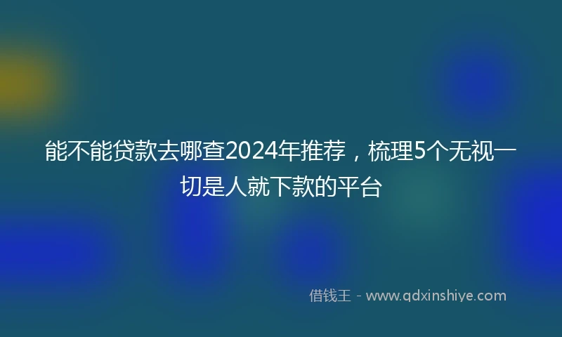 能不能贷款去哪查2024年推荐，梳理5个无视一切是人就下款的平台
