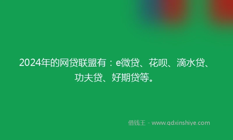 2024年的网贷联盟有：e微贷、花呗、滴水贷、功夫贷、好期贷等。