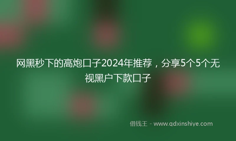 网黑秒下的高炮口子2024年推荐，分享5个5个无视黑户下款口子