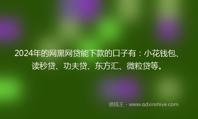 2024年的网黑网贷能下款的口子有：小花钱包、读秒贷、功夫贷、东方汇、微粒贷等。