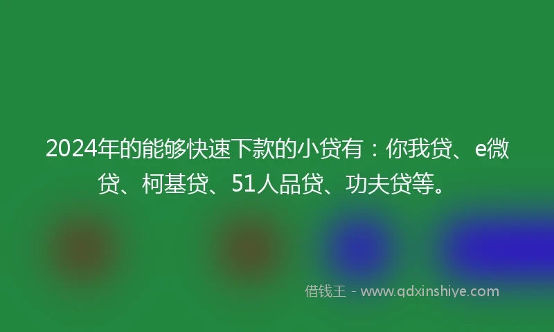 2024年的能够快速下款的小贷有：你我贷、e微贷、柯基贷、51人品贷、功夫贷等。