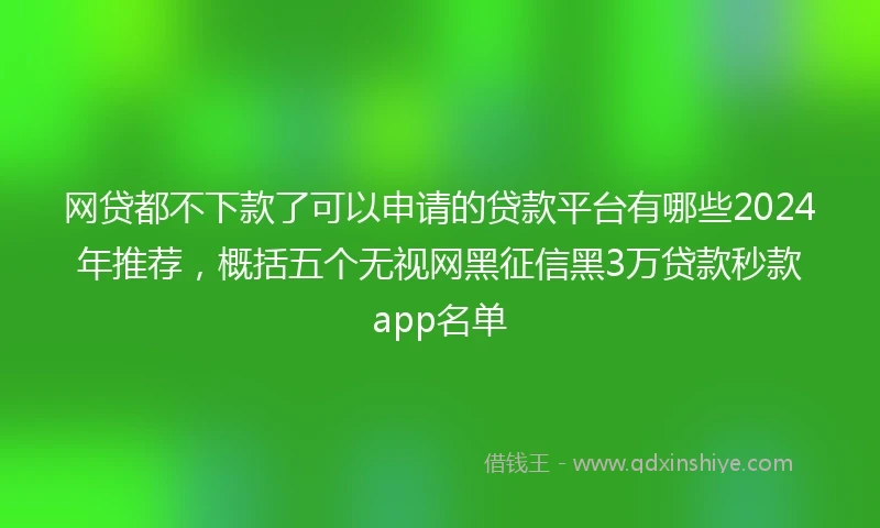 网贷都不下款了可以申请的贷款平台有哪些2024年推荐，概括五个无视网黑征信黑3万贷款秒款app名单