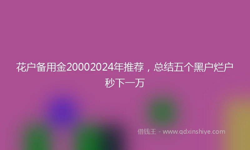 花户备用金20002024年推荐，总结五个黑户烂户秒下一万