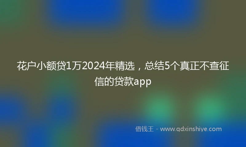 花户小额贷1万2024年精选，总结5个真正不查征信的贷款app