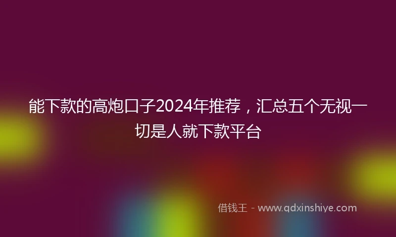 能下款的高炮口子2024年推荐，汇总五个无视一切是人就下款平台