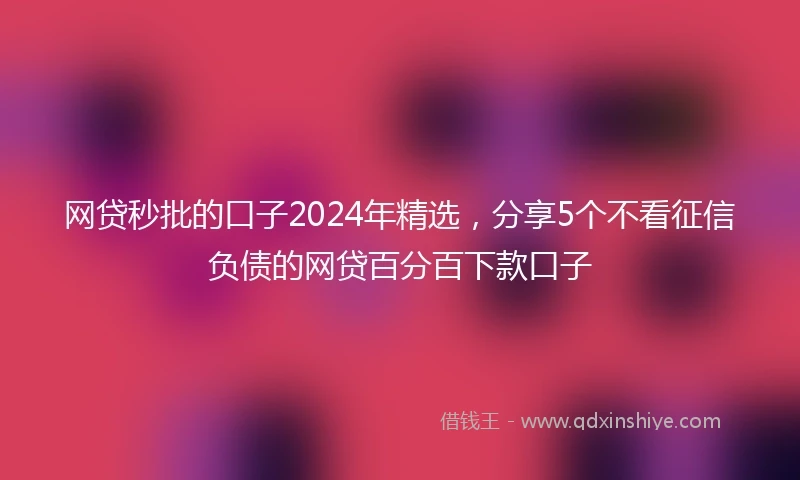 网贷秒批的口子2024年精选，分享5个不看征信负债的网贷百分百下款口子