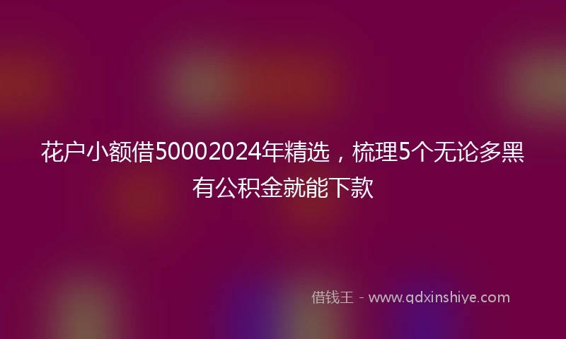 花户小额借50002024年精选，梳理5个无论多黑有公积金就能下款