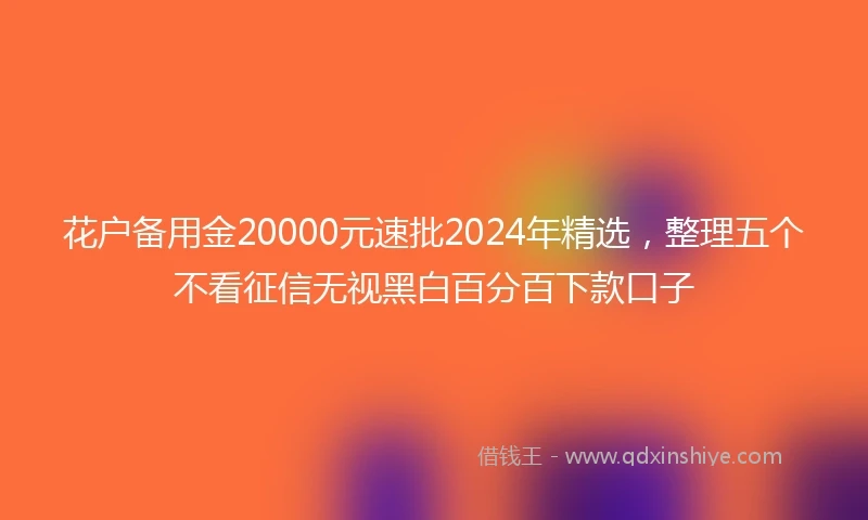 花户备用金20000元速批2024年精选，整理五个不看征信无视黑白百分百下款口子