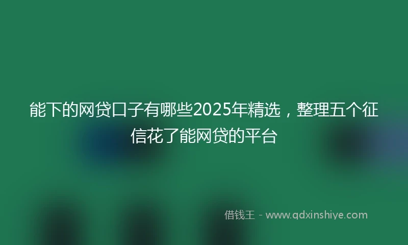 能下的网贷口子有哪些2025年精选，整理五个征信花了能网贷的平台