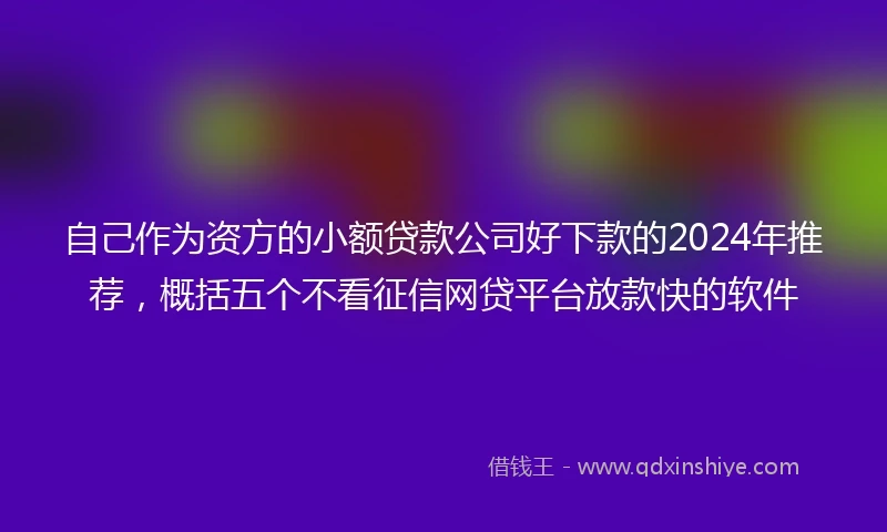 自己作为资方的小额贷款公司好下款的2024年推荐,概括五个不看征信网贷平台放款快的软件