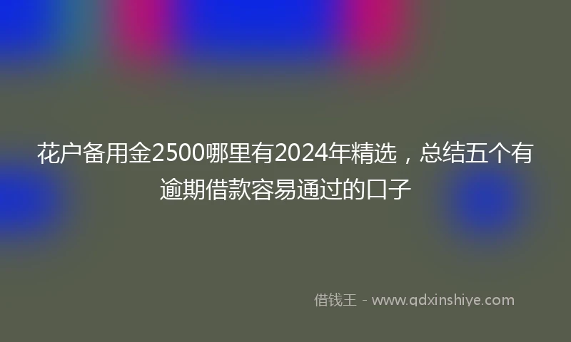 花户备用金2500哪里有2024年精选，总结五个有逾期借款容易通过的口子