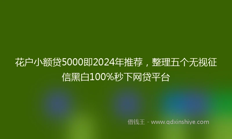 花户小额贷5000即2024年推荐，整理五个无视征信黑白100%秒下网贷平台