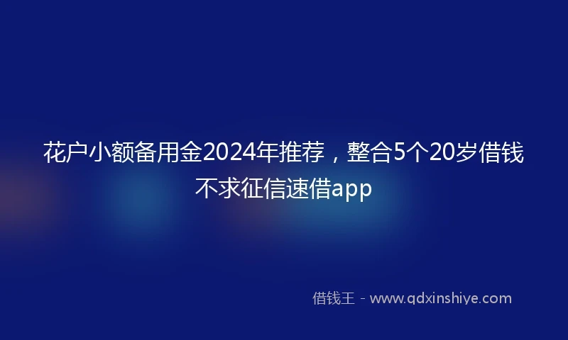 花户小额备用金2024年推荐，整合5个20岁借钱不求征信速借app