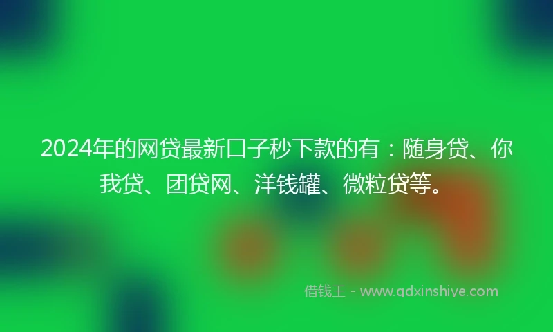 2024年的网贷最新口子秒下款的有：随身贷、你我贷、团贷网、洋钱罐、微粒贷等。