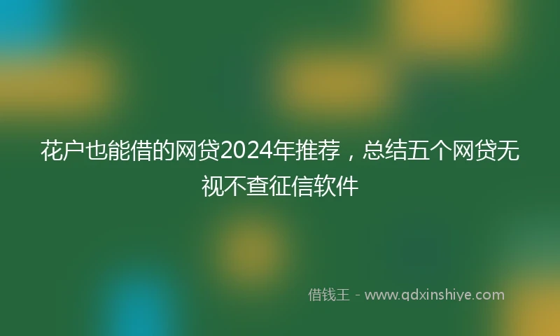 花户也能借的网贷2024年推荐，总结五个网贷无视不查征信软件