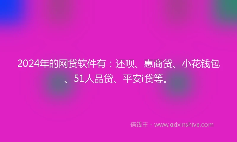 2024年的网贷软件有：还呗、惠商贷、小花钱包、51人品贷、平安i贷等。