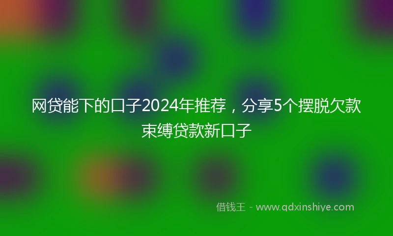 网贷能下的口子2024年推荐，分享5个摆脱欠款束缚贷款新口子