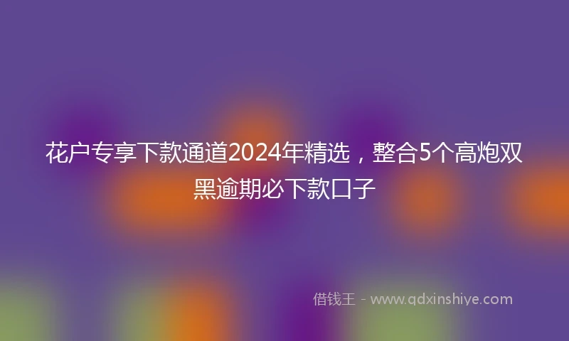花户专享下款通道2024年精选，整合5个高炮双黑逾期必下款口子