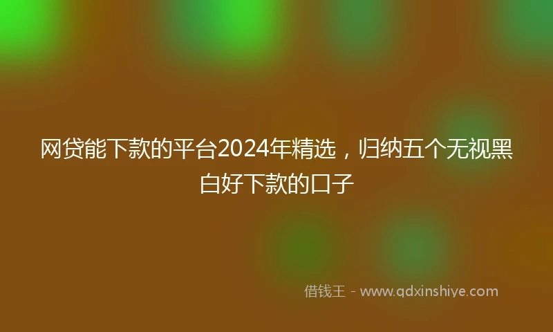 网贷能下款的平台2024年精选，归纳五个无视黑白好下款的口子