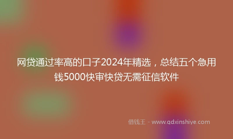 网贷通过率高的口子2024年精选，总结五个急用钱5000快审快贷无需征信软件