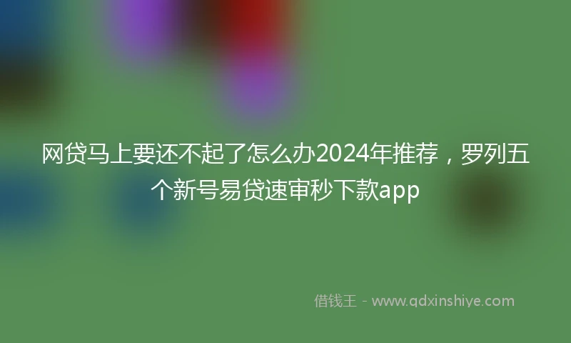 网贷马上要还不起了怎么办2024年推荐，罗列五个新号易贷速审秒下款app