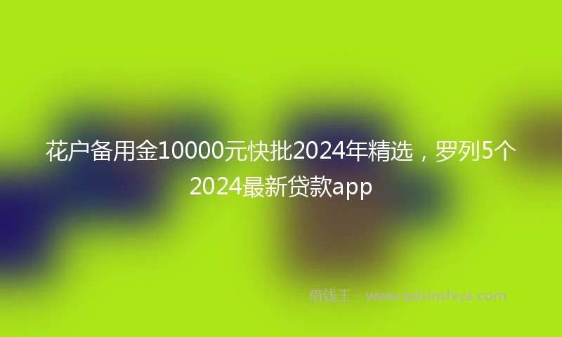 花户备用金10000元快批2024年精选，罗列5个2024最新贷款app