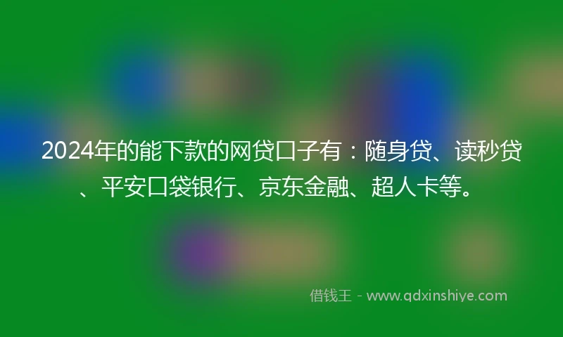 2024年的能下款的网贷口子有：随身贷、读秒贷、平安口袋银行、京东金融、超人卡等。