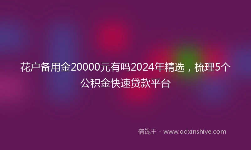 花户备用金20000元有吗2024年精选，梳理5个公积金快速贷款平台