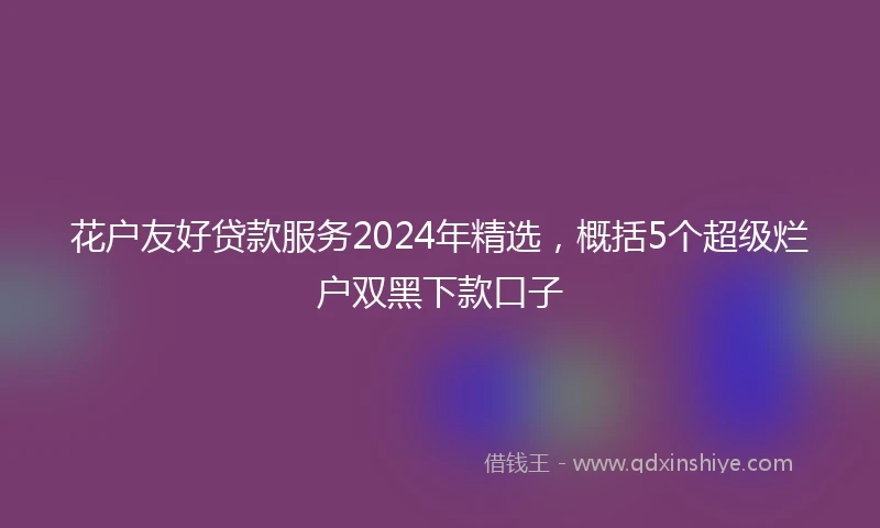 花户友好贷款服务2024年精选，概括5个超级烂户双黑下款口子