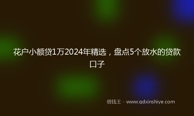 花户小额贷1万2024年精选，盘点5个放水的贷款口子